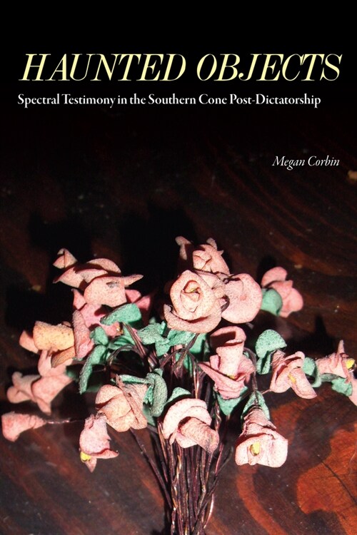 Haunted Objects: Spectral Testimony in the Southern Cone Post-Dictatorship (Paperback)