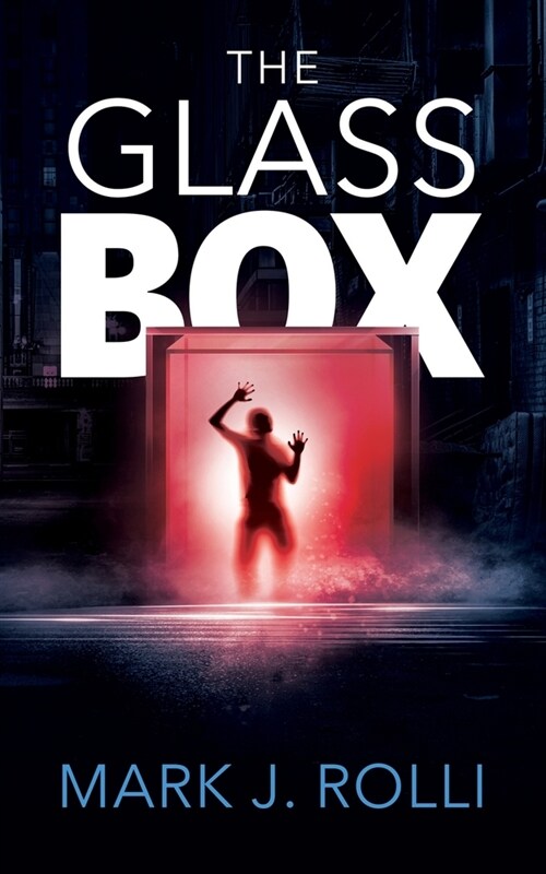 The Glass Box (Paperback)