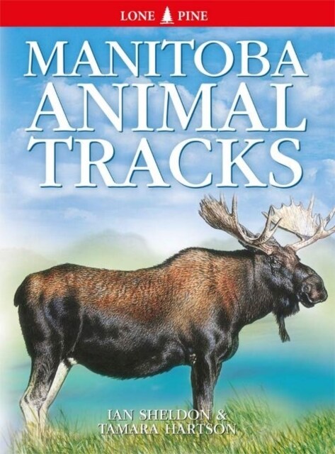 Manitoba Animal Tracks (Paperback, 3)