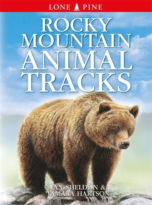 Rocky Mountain Animal Tracks (Paperback, 2)