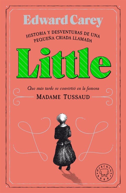 HISTORIA Y DESVENTURAS DE UNA PEQUENA CRIADA LLAMADA LITTLE (Book)