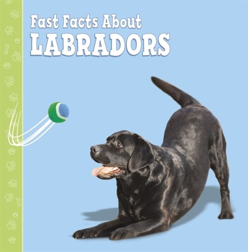 Fast Facts About Labradors (Paperback)