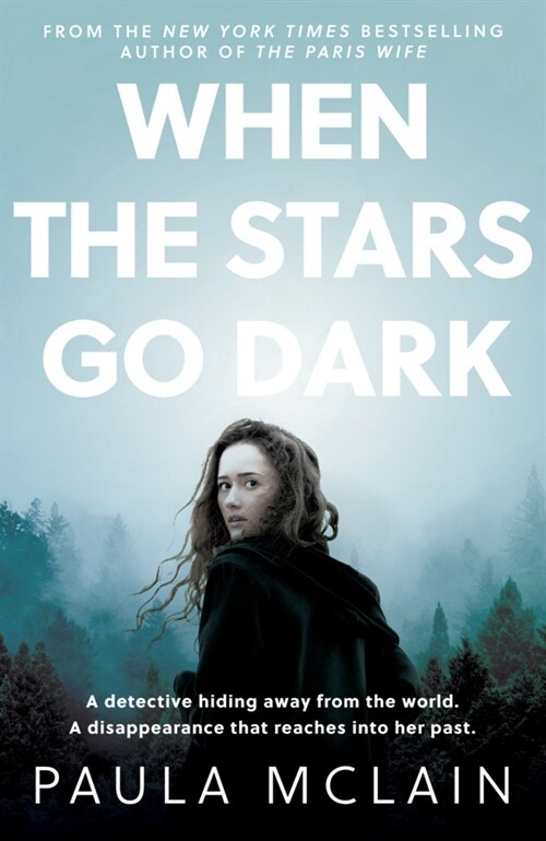 When the Stars Go Dark : New York Times Bestseller (Hardcover)