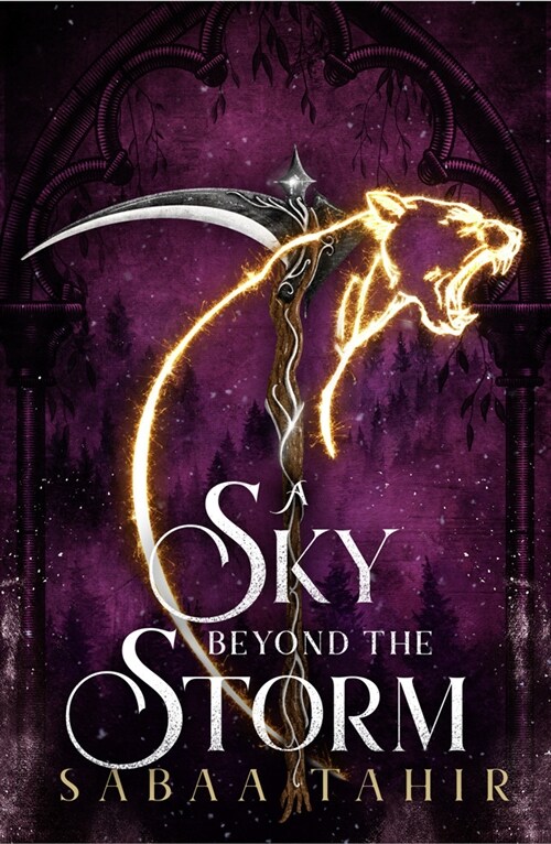 A Sky Beyond the Storm (Paperback)