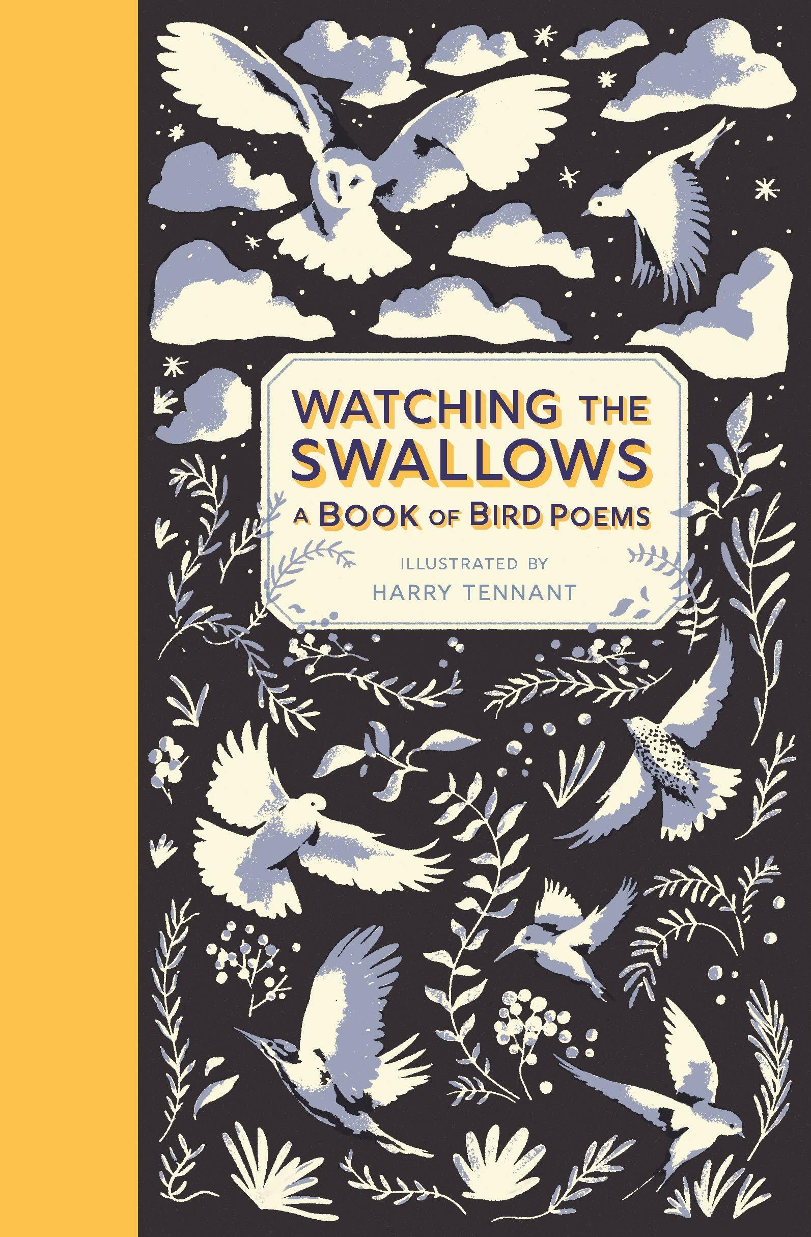 Watching the Swallows: A Book of Bird Poems (Hardcover)