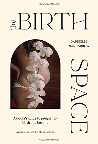 The Birth Space: A Doulas Guide to Pregnancy, Birth and Beyond (Hardcover)