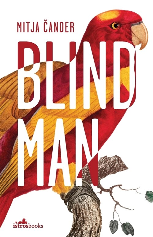 Blind Man (Paperback)