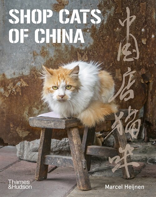 SHOP CATS OF CHINA (Paperback)