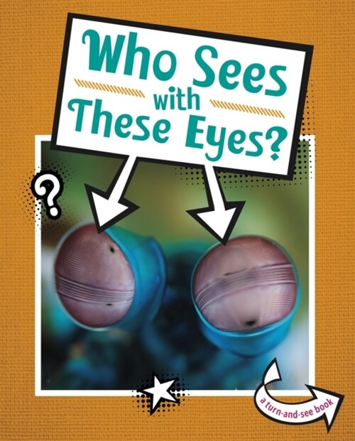 Who Sees With These Eyes? (Paperback)