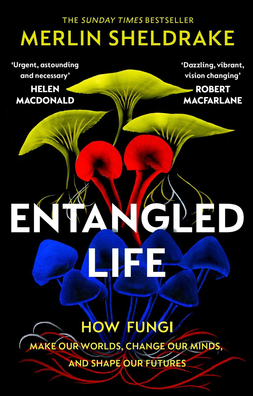 Entangled Life : The phenomenal Sunday Times bestseller exploring how fungi make our worlds, change our minds and shape our futures (Paperback)