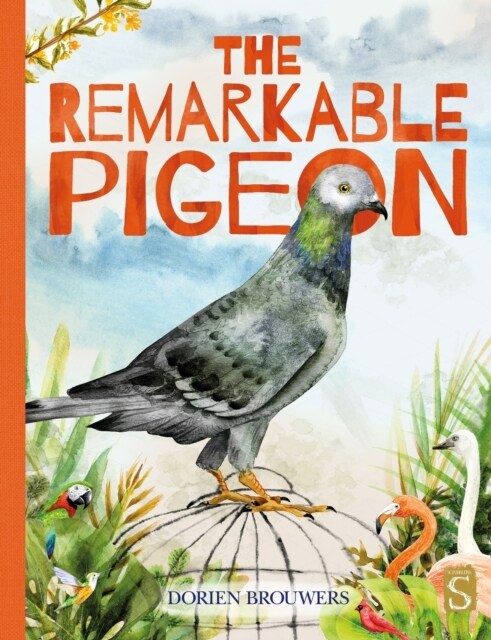 The Remarkable Pigeon (Paperback, Illustrated ed)