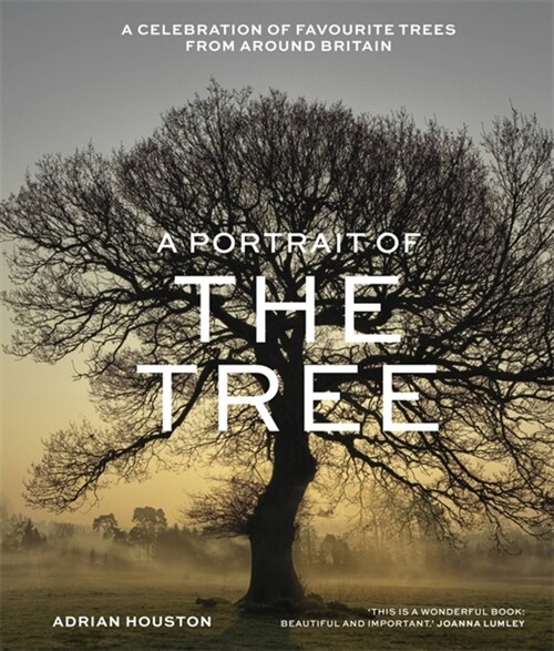 A Portrait of the Tree : A celebration of favourite trees from around Britain (Hardcover)