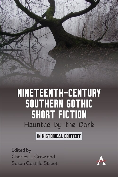 Nineteenth-Century Southern Gothic Short Fiction : Haunted by the Dark (Paperback)