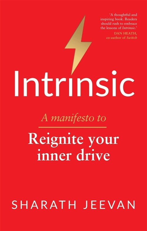 Intrinsic : A manifesto to reignite your inner drive (Paperback)