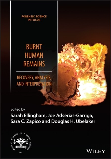 Burnt Human Remains: Recovery, Analysis, and Interpretation (Hardcover)