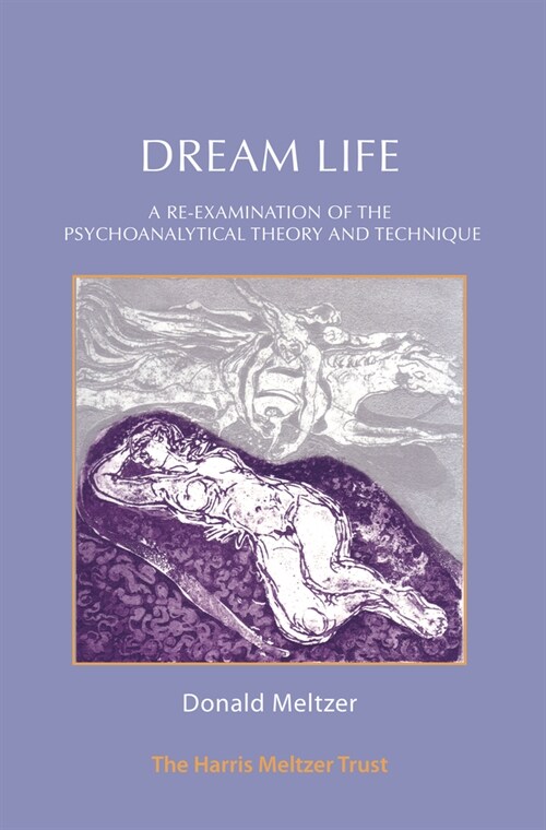 Dream Life : A Re-examination of the Psychoanalytic Theory and Technique (Paperback)
