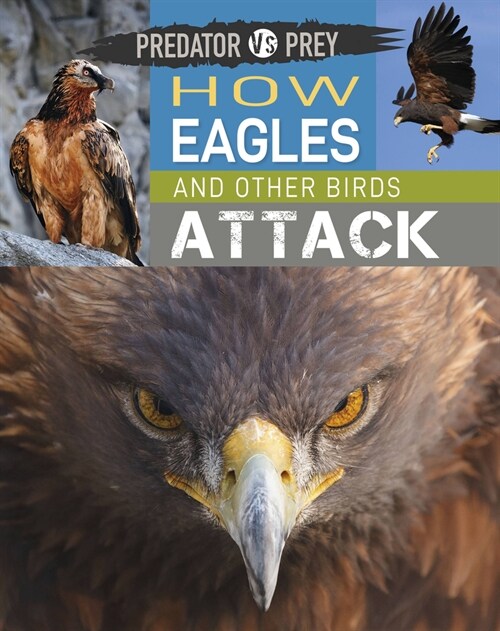 Predator vs Prey: How Eagles and other Birds Attack (Paperback)