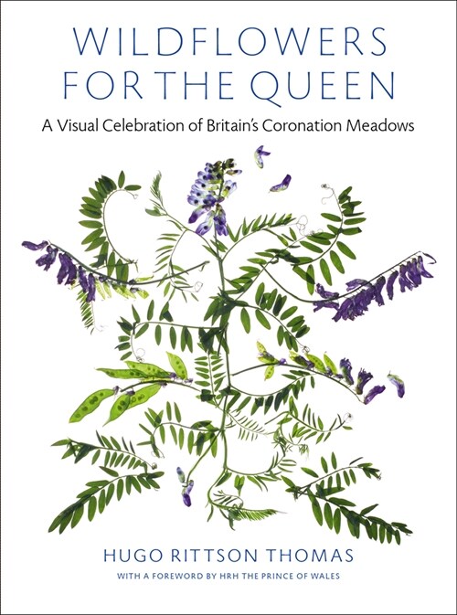 Wildflowers for the Queen : A Visual Celebration of Britains Coronation Meadows (Hardcover)