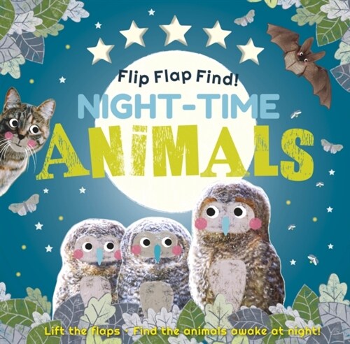 Flip Flap Find! Night-time Animals (Board Book)