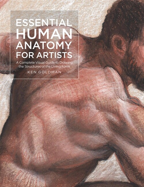 Essential Human Anatomy for Artists: A Complete Visual Guide to Drawing the Structures of the Living Form (Paperback)