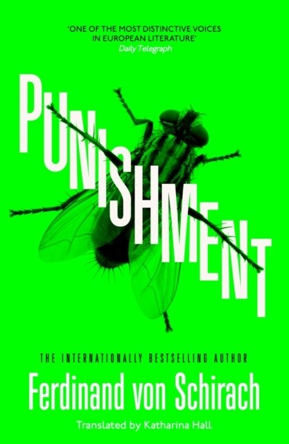 Punishment : The gripping international bestseller (Hardcover)