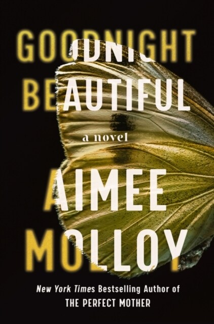 Goodnight Beautiful : A Novel (Paperback)