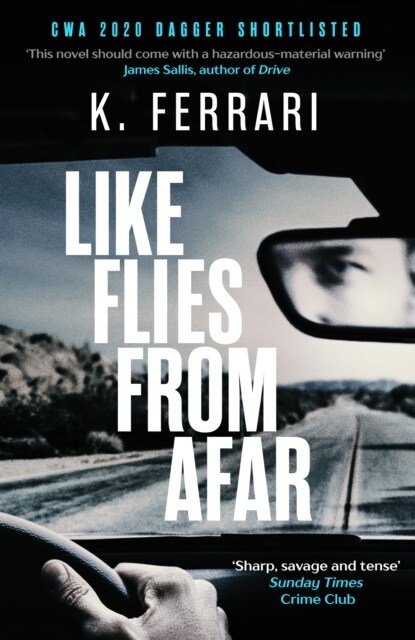 Like Flies from Afar (Paperback, Main)