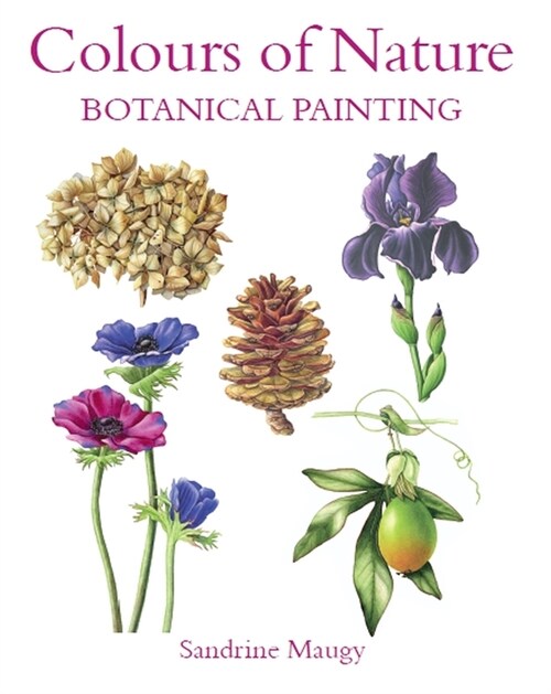 Colours of Nature : Botanical Painting (Paperback)