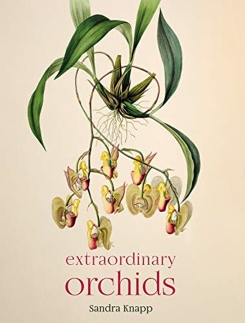 Extraordinary Orchids (Hardcover)