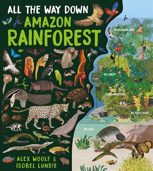 All The Way Down: Amazon Rainforest (Hardcover, Illustrated ed)
