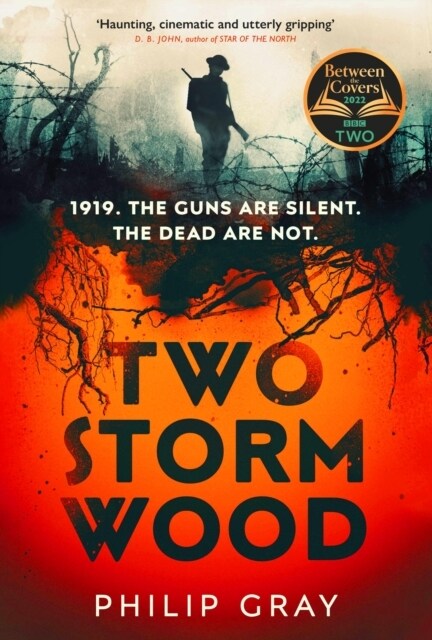 Two Storm Wood : Uncover an unsettling mystery of World War One in the The Times Thriller of the Year (Hardcover)