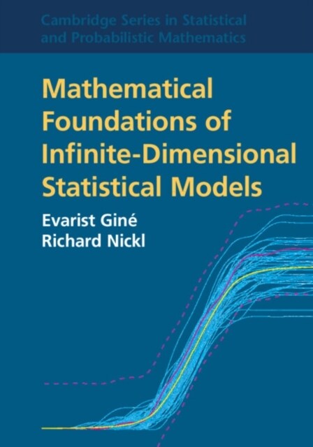 Mathematical Foundations of Infinite-Dimensional Statistical Models (Paperback, Revised ed)