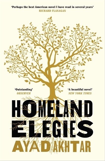 Homeland Elegies : A Barack Obama Favourite Book (Paperback)