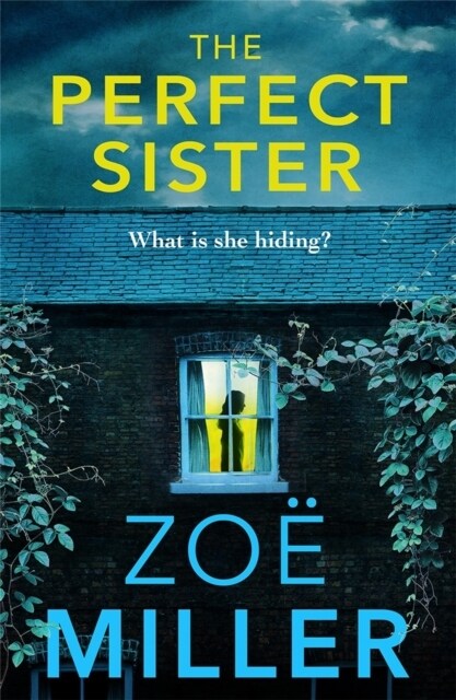 The Perfect Sister : A compelling page-turner that you wont be able to put down (Paperback)