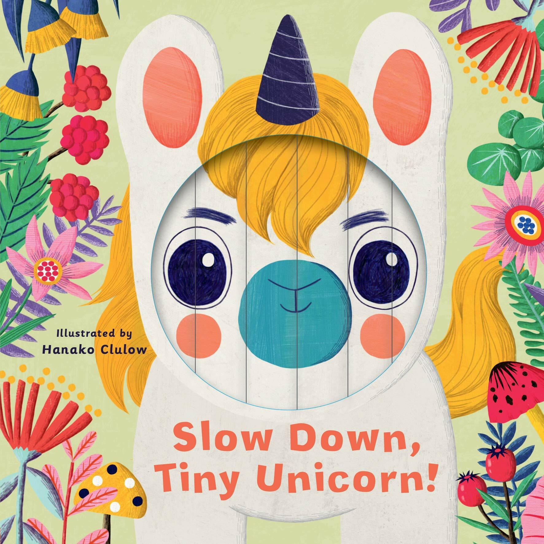 Little Faces: Slow Down, Tiny Unicorn! (Board Book)