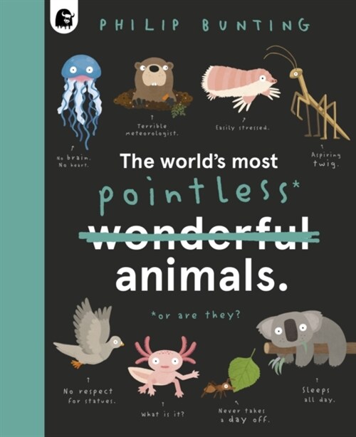 The Worlds Most Pointless Animals : Or are they? (Hardcover)