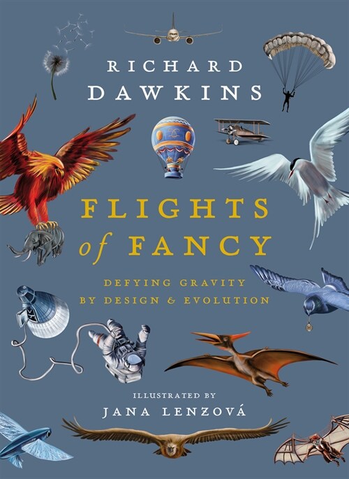 [중고] Flights of Fancy : Defying Gravity by Design and Evolution (Hardcover)