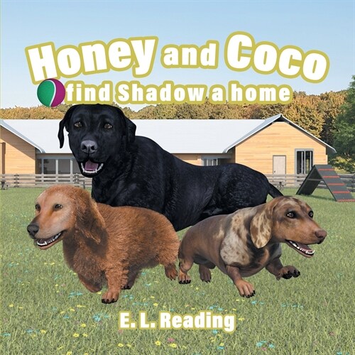 Honey and Coco find Shadow a home (Paperback)