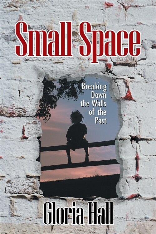 Small Space (Paperback)