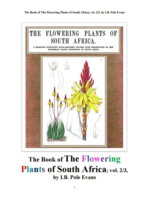 남아프리카 공화국의 꽃을 피는 식물들 제2권 (The Book of The Flowering Plants of South Africa; vol. 2/3, by I.B. Pole Evans)