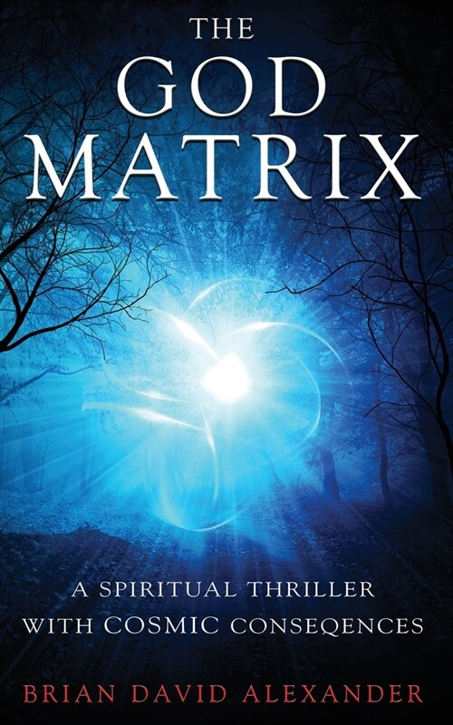 The God Matrix: A Spiritual Thriller with Cosmic Consequences (Paperback)