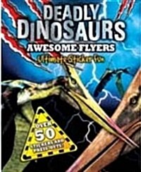 Awesome Flyers (Paperback)
