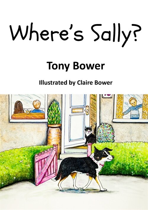 Wheres Sally?: A Childrens Free Verse Novel (Paperback)