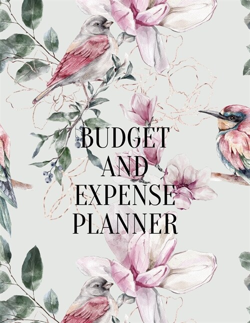 Budget and expense planner (Paperback)