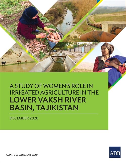 A Study of Womens Role in Irrigated Agriculture in the Lower Vaksh River Basin, Tajikistan (Paperback)