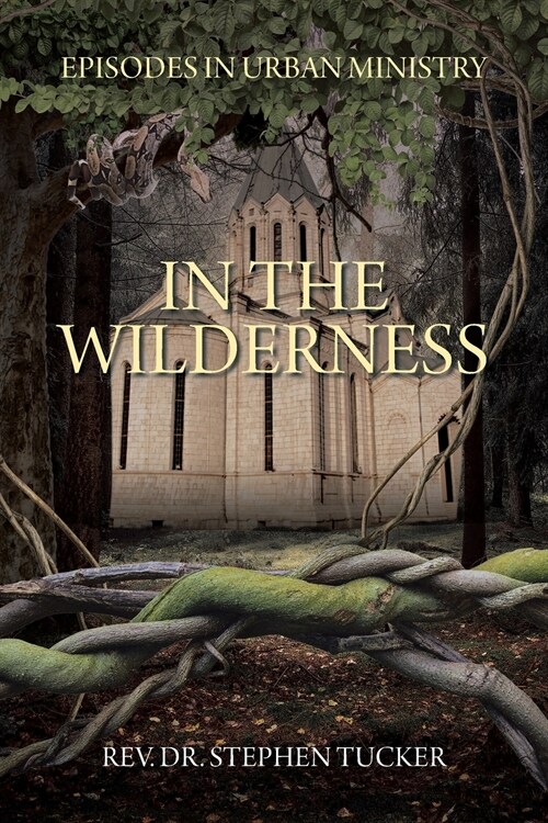 In The Wilderness: Episodes in Urban Ministry (Paperback)