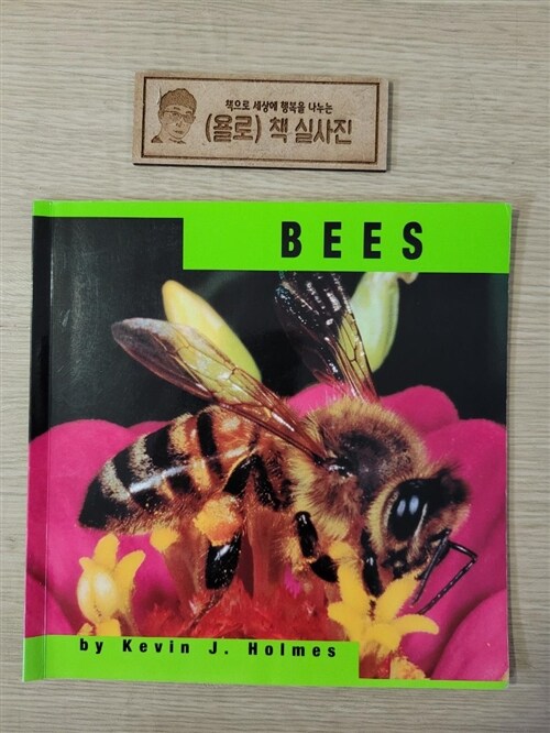 [중고] Bees (Paperback)