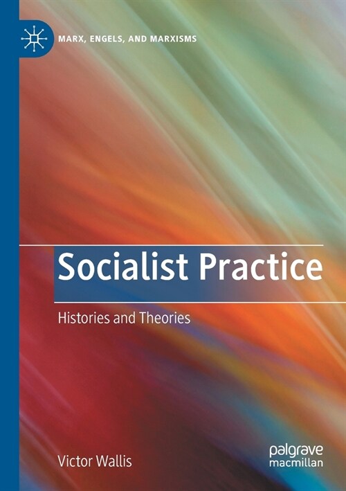 Socialist Practice: Histories and Theories (Paperback, 2020)