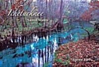 Ichetucknee: Sacred Waters (Hardcover)
