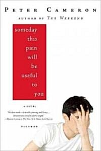 [중고] Someday This Pain Will Be Useful to You (Paperback, Picador)